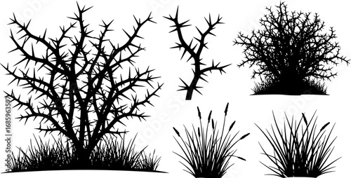 silhouette of a thorny bush with spiky branches and dry grass vector set