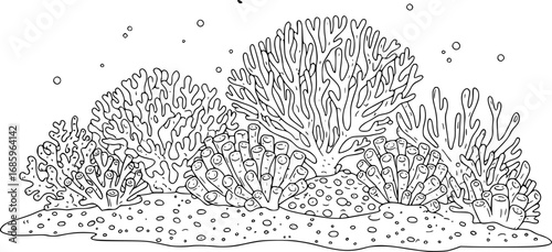 coral reef cad line art vector illustration coral reef outlines, showcasing underwater marine life a