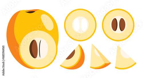 Vibrant loquat fruit illustration set showing a whole fruit and juicy slices
