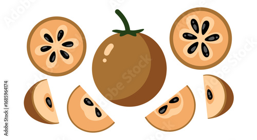 Graphical representation of sapodilla fruit elements, whole, slices, isolated,
