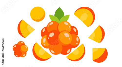 Stylized cloudberry illustration with slices, isolated on clean white backdrop