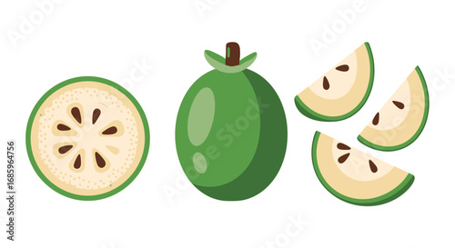 Feijoa fruit illustration with whole slice and cut pieces showcasing its