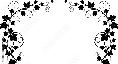 silhouette Ivy flower set, Ivy Vector, climbing ivy creeper branch isolated on white background vector
