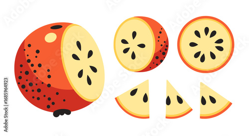 Whimsical apple slices in illustrative style for culinary themed designs