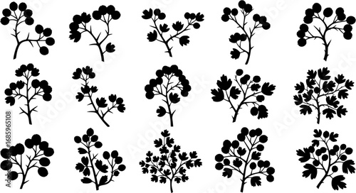 silhouette Ivy flower set, Ivy Vector, climbing ivy creeper branch isolated on white background vector
