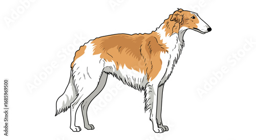 Vector Hand Drawn Doodle Sketch of Russian Borzoi Dog Isolated on White Background