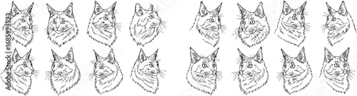 vector set of 