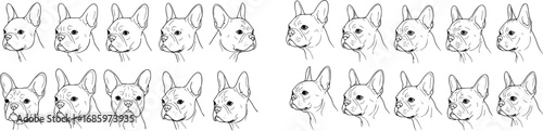 vector set of 