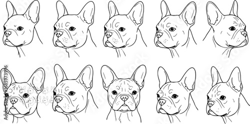 vector set of 