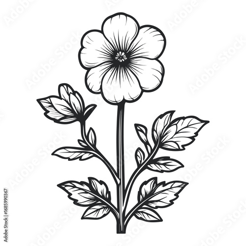 vector illustration of a flower