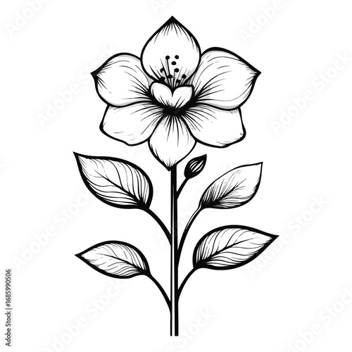 vector illustration of a flower