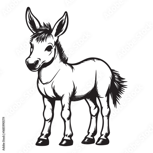  vector illustration donkey