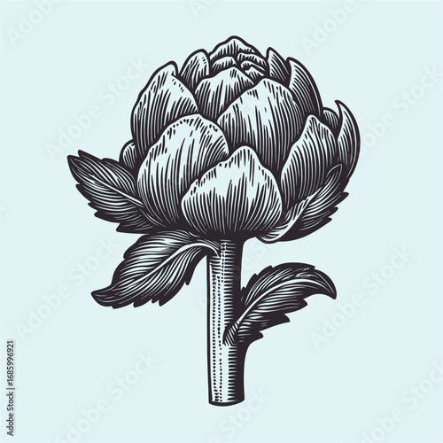 Hand-Drawn Vintage Artichoke Illustration on Light Background