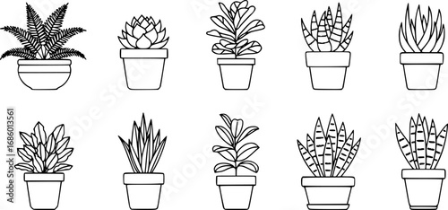 set of potted plant indoor outline icon vector
