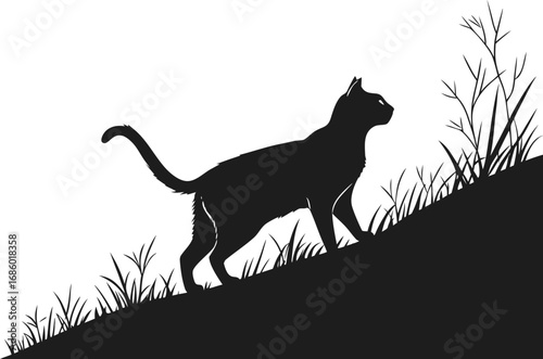 Black Cat Silhouette in Grassy Landscape A Minimalist Scene of Nature and Wildlife Mystery