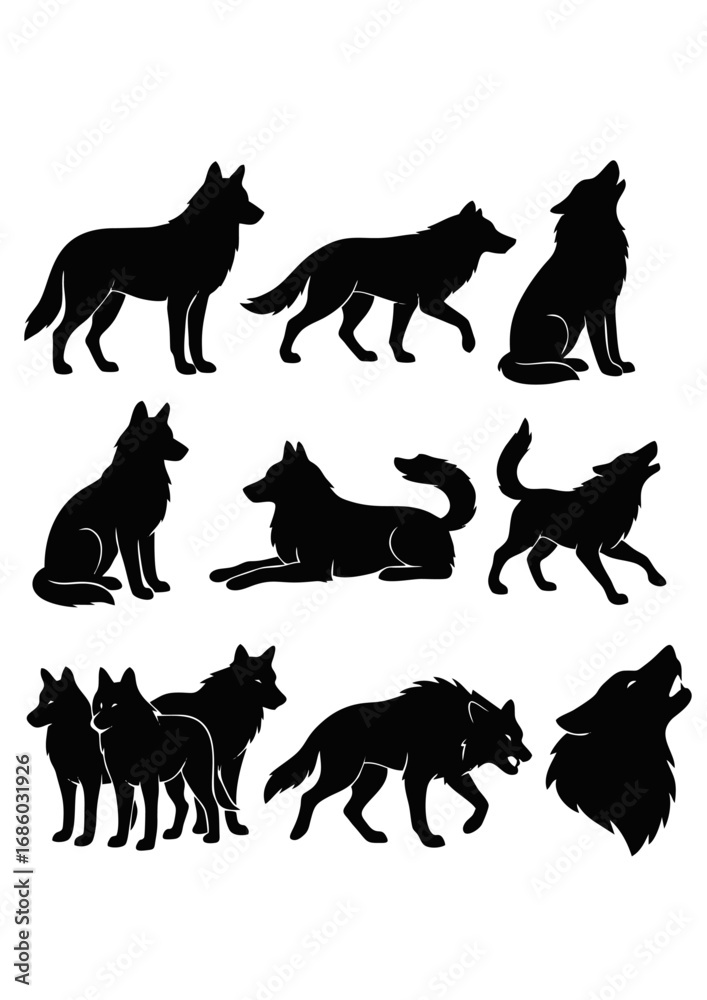 Obraz premium Wolf