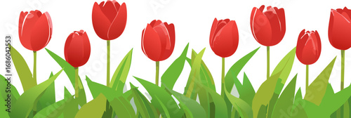 Red Tulips Spring Floral Border Illustration.