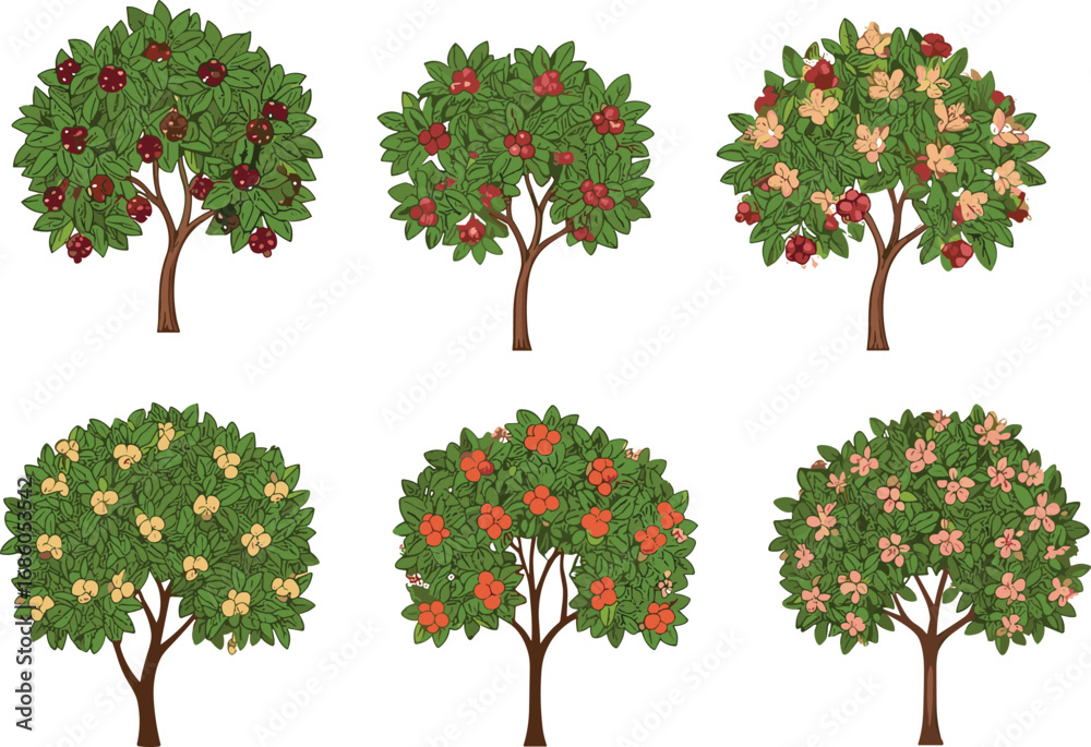 Naklejka premium Six botanical tree illustrations with seasonal flowers and fruits, colorful foliage variations, detailed vector art for botanical, educational, gardening, and nature design projects