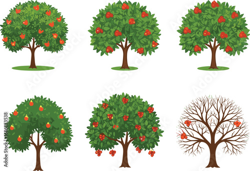 Fruit tree illustration, apple tree, pear tree, cherry tree, seasonal fruit trees, botanical vector art, orchard harvest concept, nature seasons design, decorative artwork