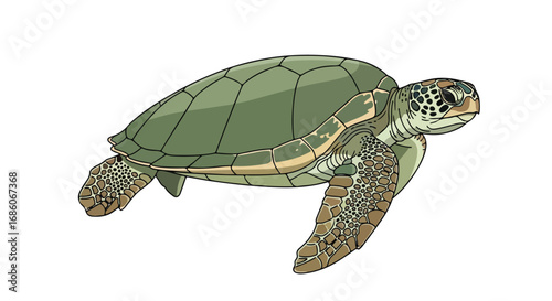 Detailed Illustration of a Sea Turtle Gracefully Swimming on a White Background Depicting its Natural Habitat with Grace and Precision