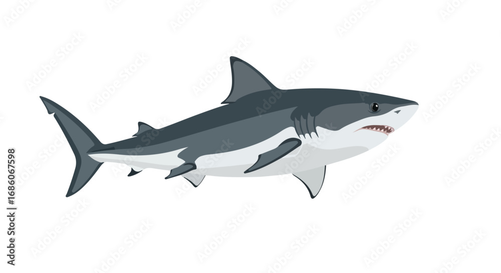 Fototapeta premium Stylized marine predator artwork showcasing a sleek shark with sharp teeth and detailed features rendered against a white isolated backdrop for