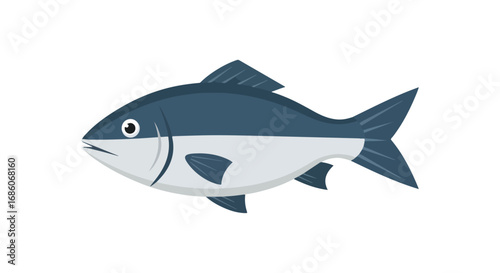 Simple Graphic Illustration of a Fish with Blue and Grey Markings on a Plain White Background suitable for educational resources