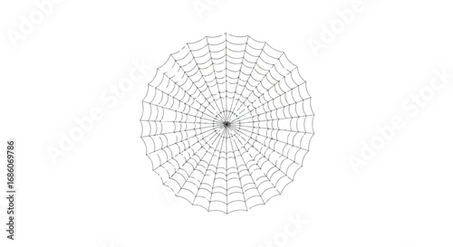 A clean and simplistic representation of a spiderweb against a stark white background creating a sense of minimalism and stark contrast