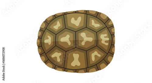 Illustrated Tortoise Shell Pattern on White Background Depicting Scaled Protection and Reptilian Texture With Geometric Divisions and Organic Coloring