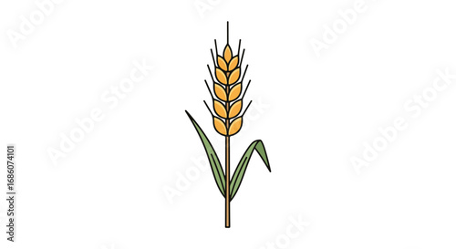 Illustration of a golden wheat stalk isolated on a white background showcasing agricultural themes and plant anatomy through a simple, clean design