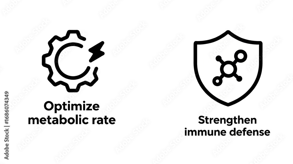 Obraz premium Metabolism and immunity icons represent the concept of optimizing metabolic rate and enhancing immune defense in health protection, used in health protection promotion scenarios.