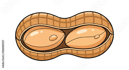 Simple Illustration of a Peanut in Its Shell Highlighting Natural Texture and Shape for Educational or Artistic Use in Minimalist Design Contexts