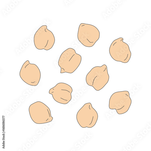 Chickpea beans vector illustration. Garbanzo beans. Line illustration. Beans illustration.