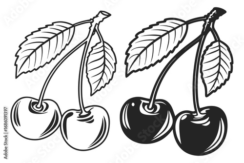 Cherries with leaves cherry fruit