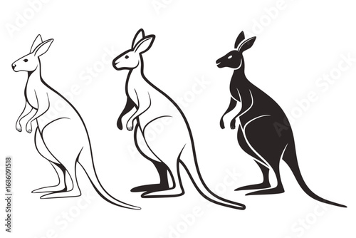 Three kangaroos in profile marsupial animal