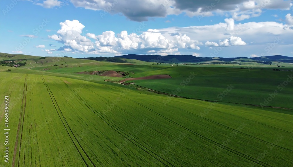 Obraz premium A vast, vibrant green field stretches across rolling hills under a partly cloudy sky, showcasing agricultural landscapes and natural beauty.