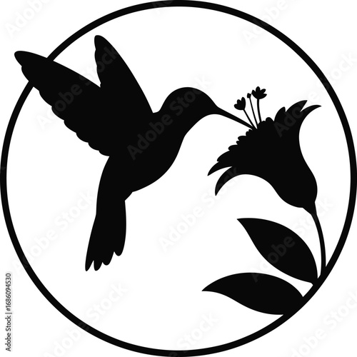 Elegant silhouette of a hummingbird feeding on a vibrant flower