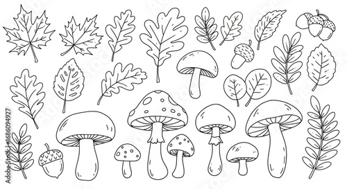 a collection of black-and-white line art illustrations of autumn-themed elementsed