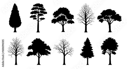 A collection of diverse black tree silhouettes, including deciduous and evergreen species, presented as isolated vector graphics for design projects.
