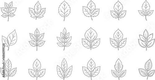Elegant line art leaf icons showcasing nature's beauty and botanical variety