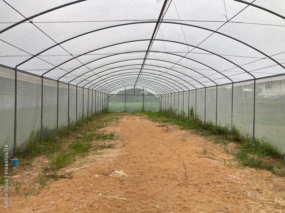 Obraz premium Agriculture is the science, art, and practice of cultivating soil, growing crops, and raising animals for food, fiber, fuel, and other human needs. It has been the foundation of civilization for thous