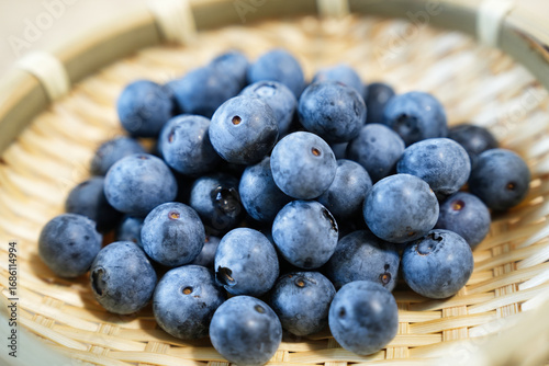 Wallpaper Mural 摘みたてブルーベリーのアップ Torontodigital.ca