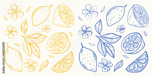 Hand drawn sketch of yellow and blue lemons and flowers on a white background