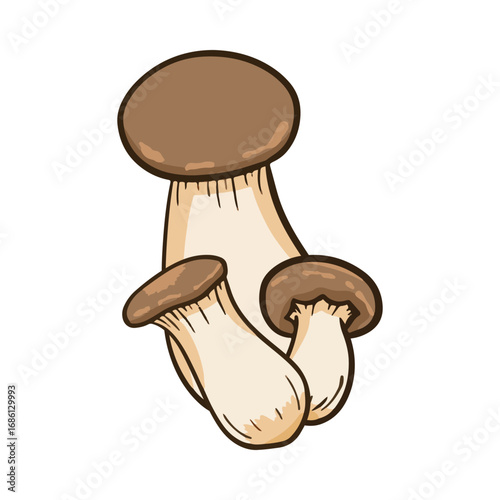 mushroom-03
