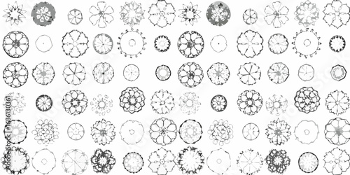 Collection of diverse hand drawn top down tree canopy illustrations in black and white