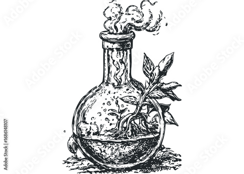 Vintage-style drawing of a plant growing in a bubbling round flask with swirling smoke. Vector hand drawn illustration