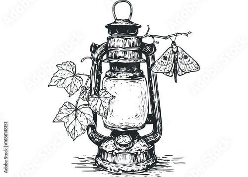Vintage kerosene lamp with vine and moth on clear background. Vector hand drawn illustration