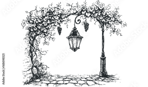 Vine-covered lamp post with grapes and cobblestone path sketch. Vector hand drawn illustration