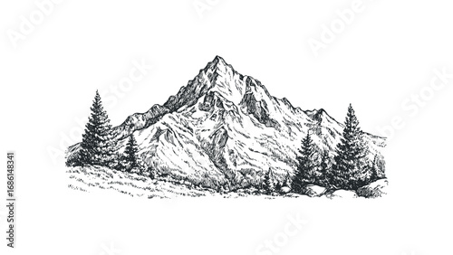 Detailed line drawing of a majestic mountain range with evergreen trees and textured ground. Vector hand drawn illustration