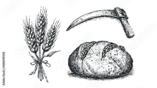 Hand-drawn sketch of wheat stalks, a loaf of bread, and a sickle tool. Vector hand drawn illustration