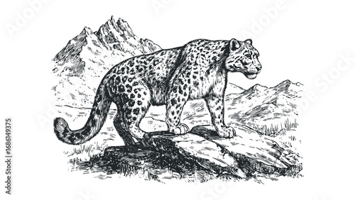 Sketch of a snow leopard standing on a rocky outcrop with mountains behind. Vector hand drawn illustration